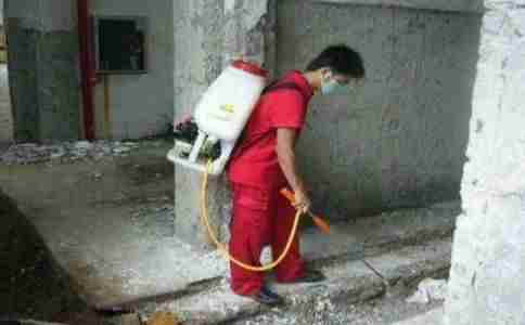 家庭灭白蚁
